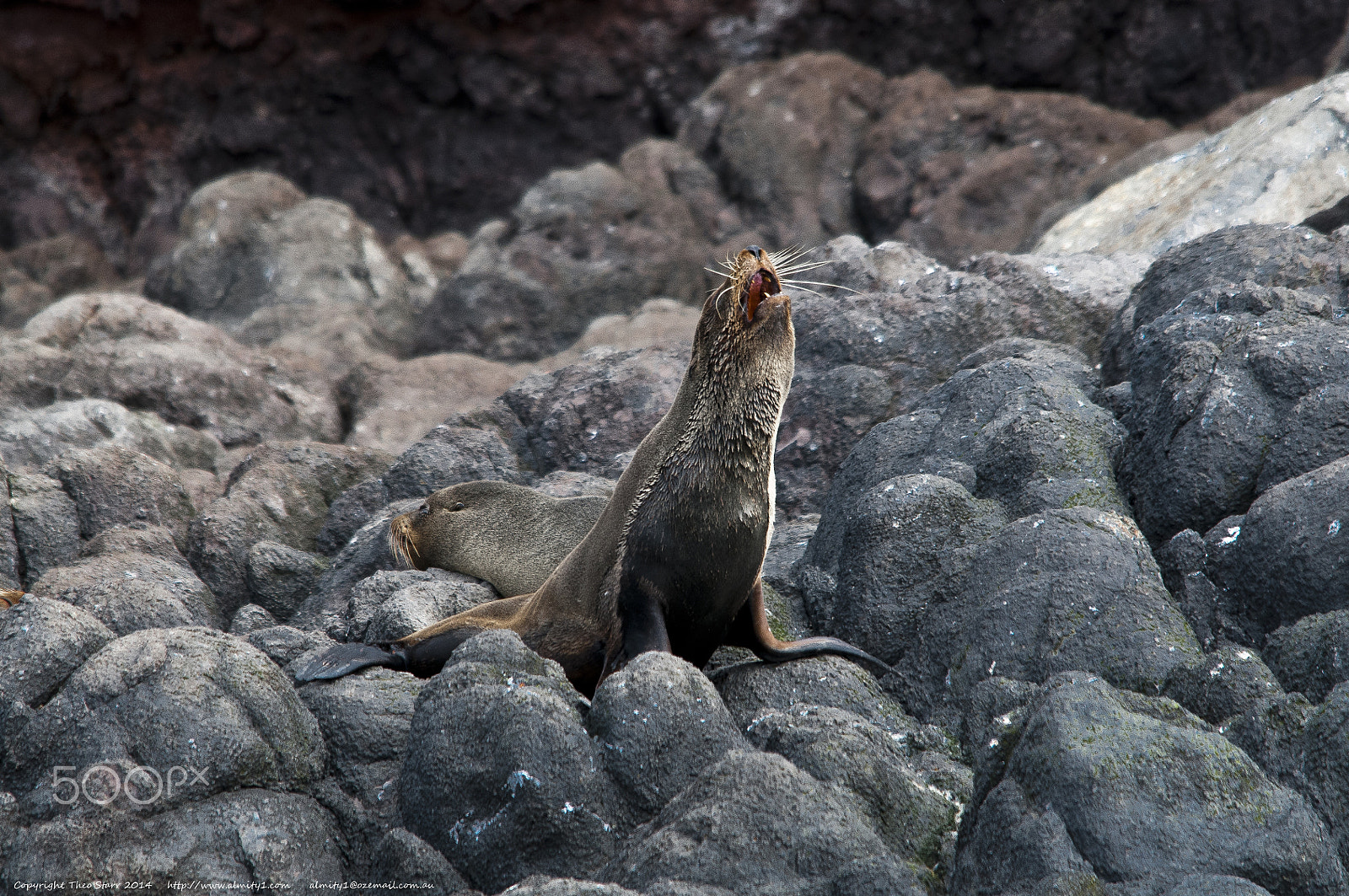 Sigma 150-500mm F5-6.3 DG OS HSM sample photo. South island, new zealand photography