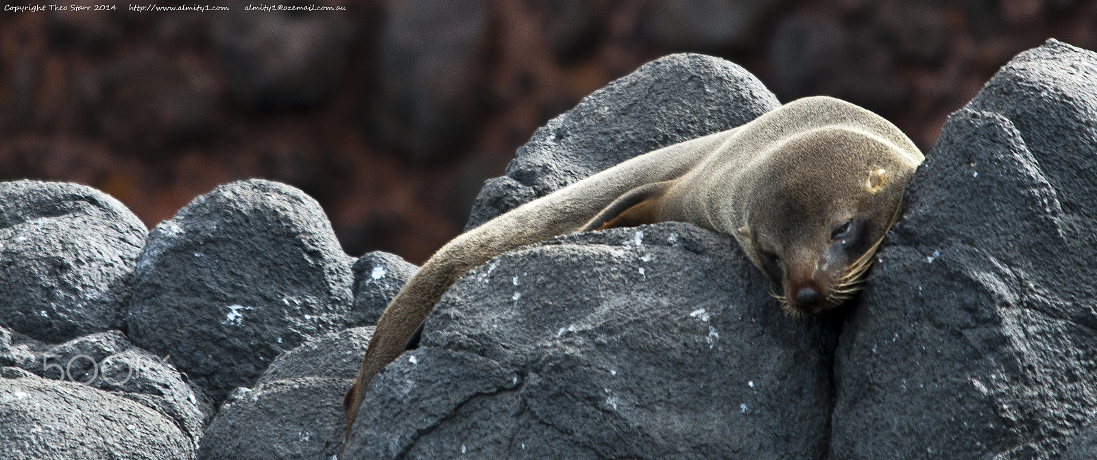 Sigma 150-500mm F5-6.3 DG OS HSM sample photo. South island, new zealand photography