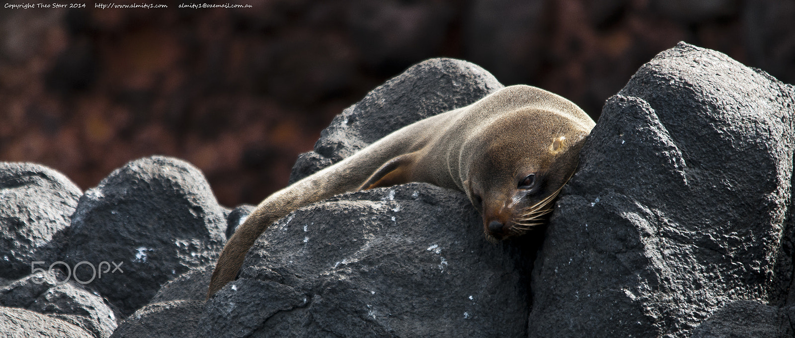 Sigma 150-500mm F5-6.3 DG OS HSM sample photo. South island, new zealand photography