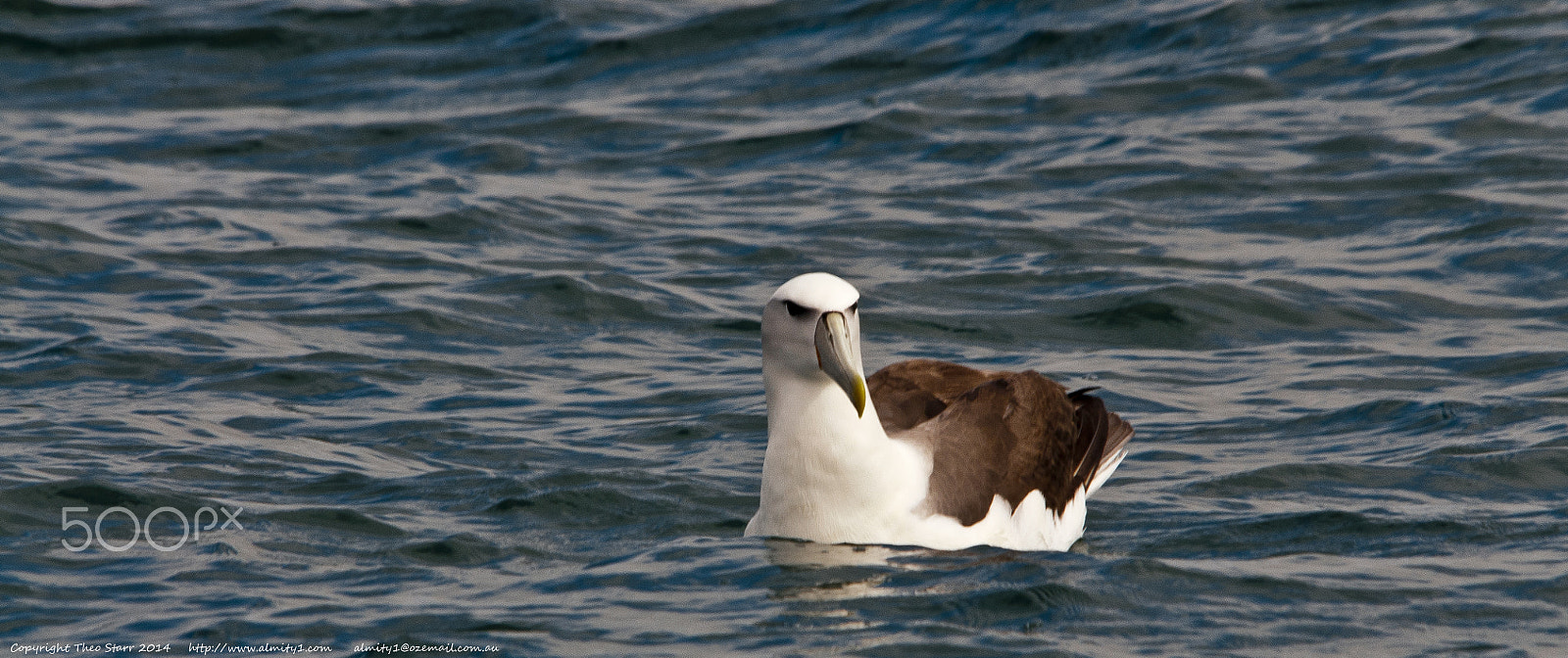 Sigma 150-500mm F5-6.3 DG OS HSM sample photo. South island, new zealand photography