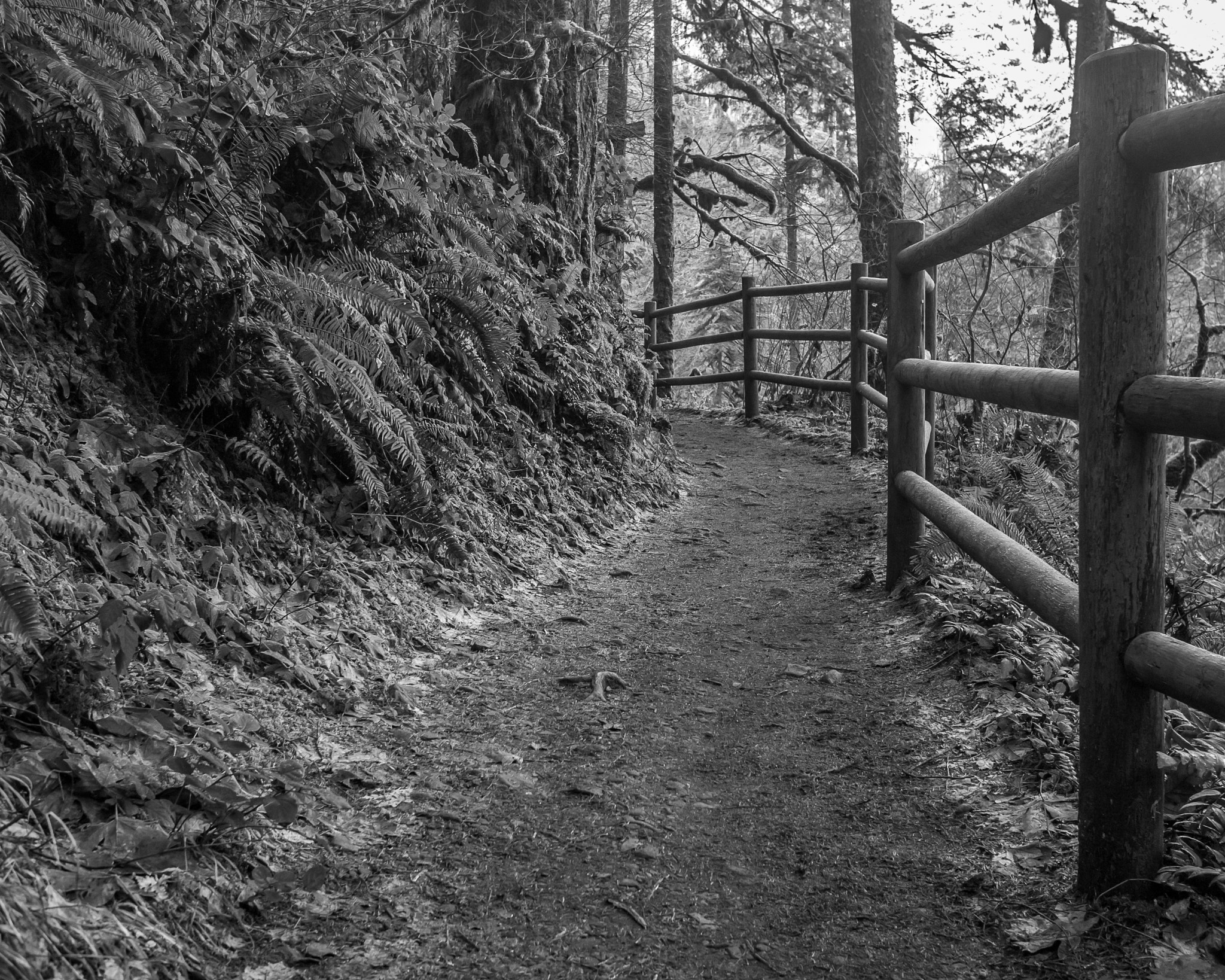 Olympus PEN E-PL3 + Panasonic Lumix G 20mm F1.7 ASPH sample photo. Silver falls fence photography