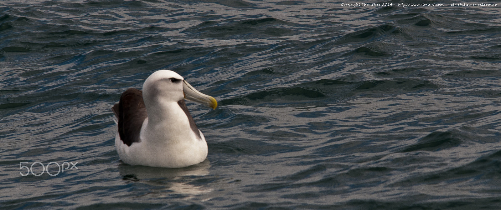 Sigma 150-500mm F5-6.3 DG OS HSM sample photo. South island, new zealand photography