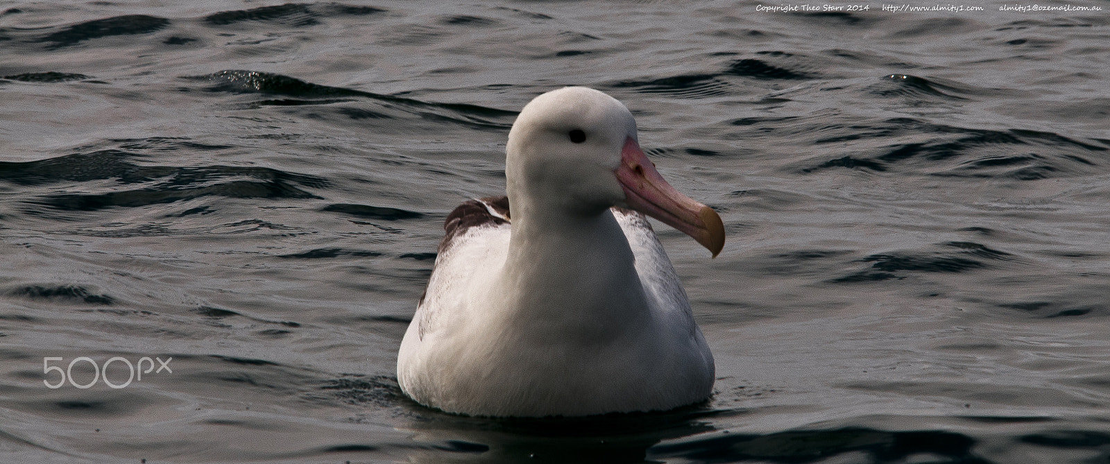 Sigma 150-500mm F5-6.3 DG OS HSM sample photo. South island, new zealand photography