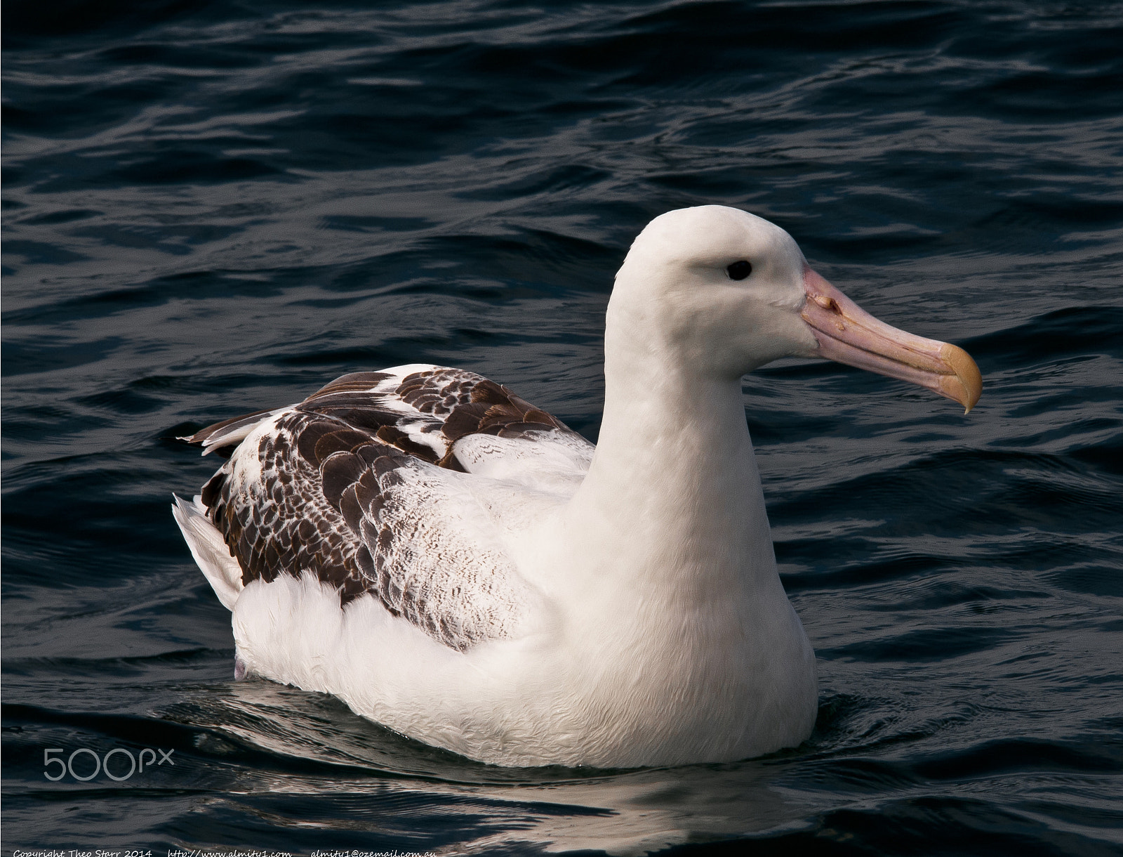 Sigma 150-500mm F5-6.3 DG OS HSM sample photo. South island, new zealand photography