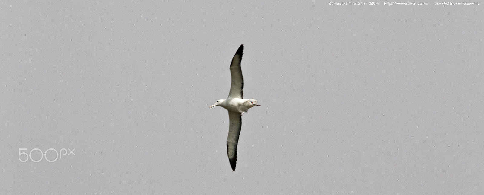 Sigma 150-500mm F5-6.3 DG OS HSM sample photo. South island, new zealand photography