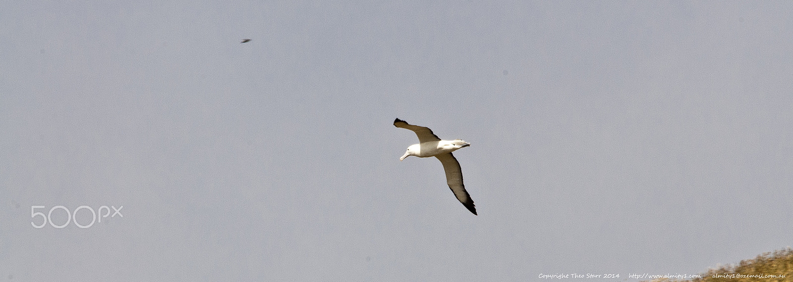 Sigma 150-500mm F5-6.3 DG OS HSM sample photo. South island, new zealand photography