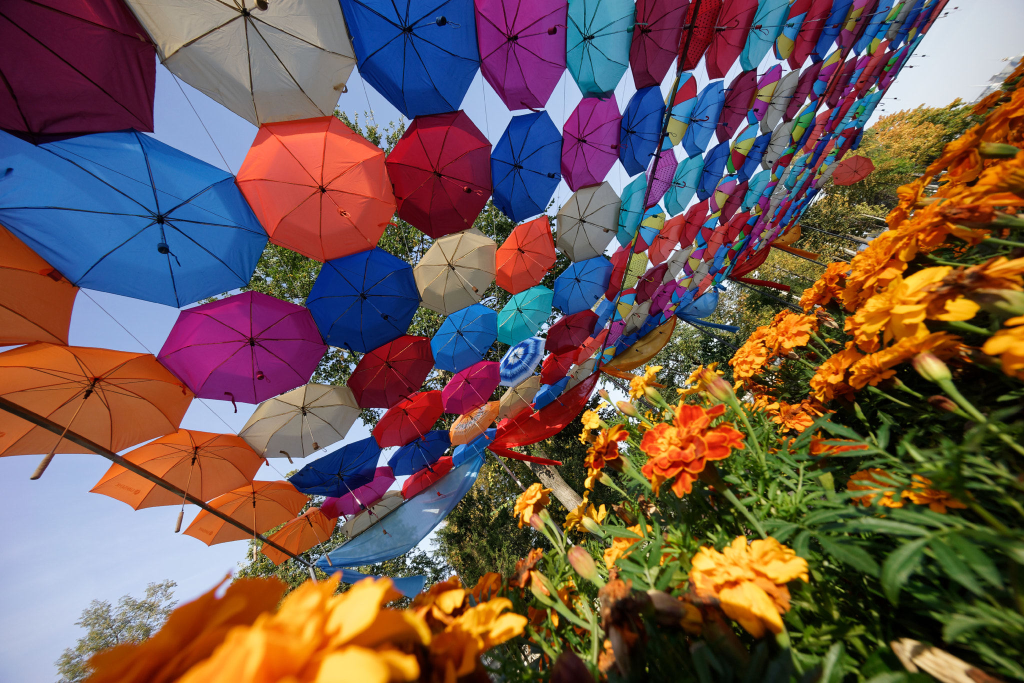 Sony E 10-18mm F4 OSS sample photo. Kakotkin com photography