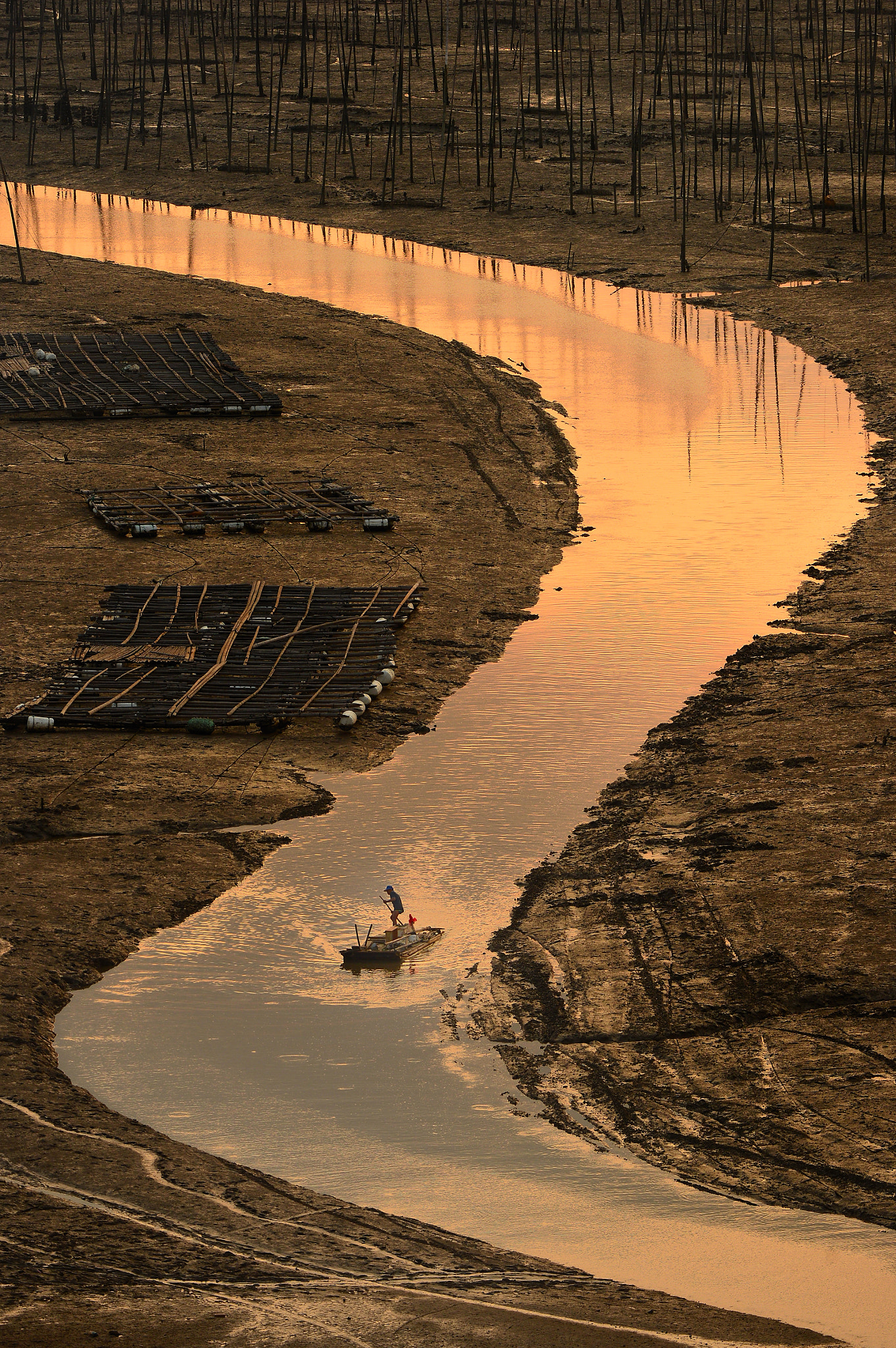 Nikon D4 sample photo. Xia pu seaweed fisherman photography