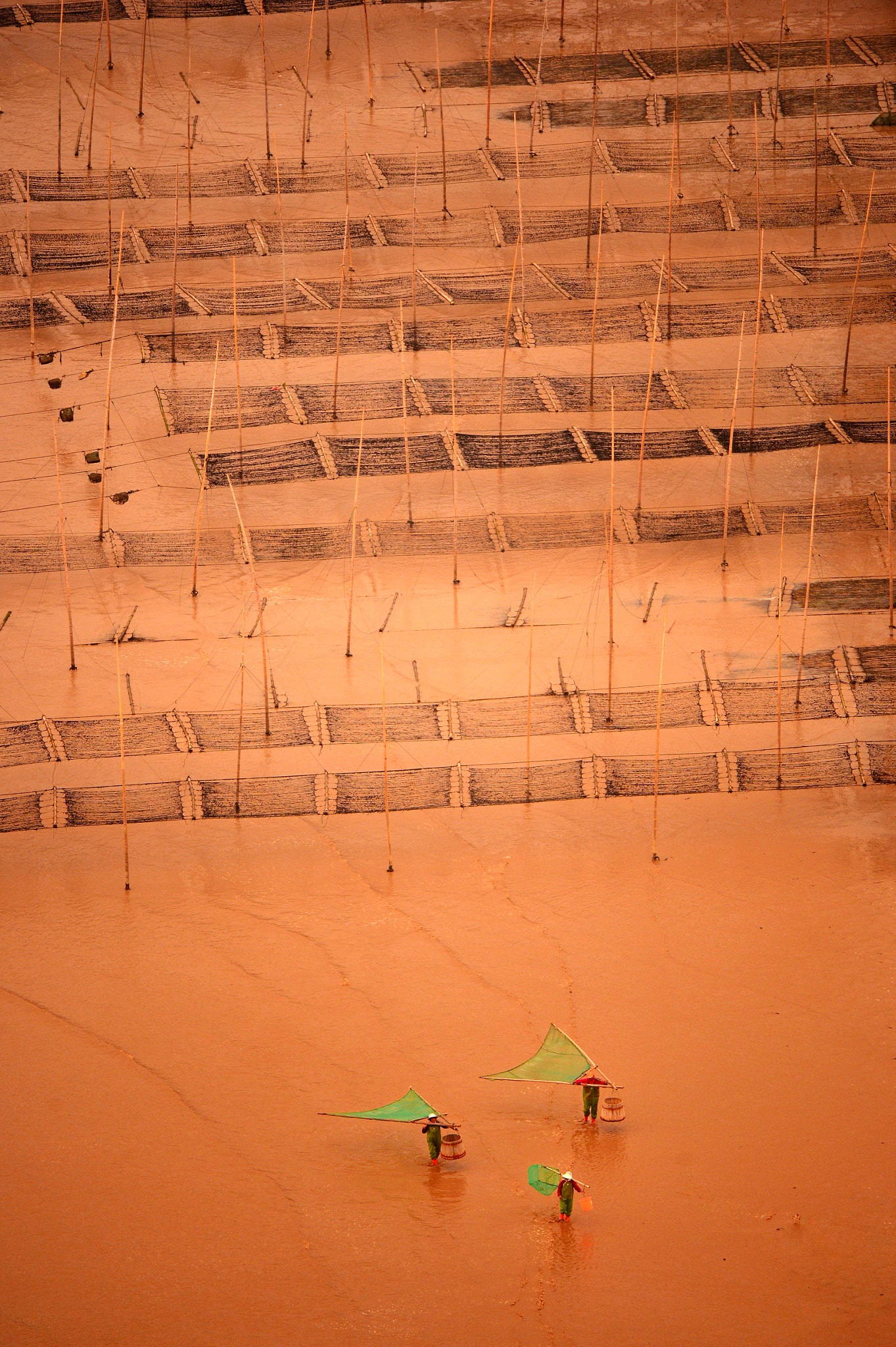 Nikon D4 sample photo. Xia pu seaweed fisherman photography