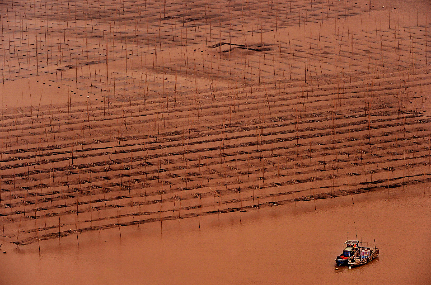 Nikon D4 sample photo. Xia pu seaweed fisherman photography