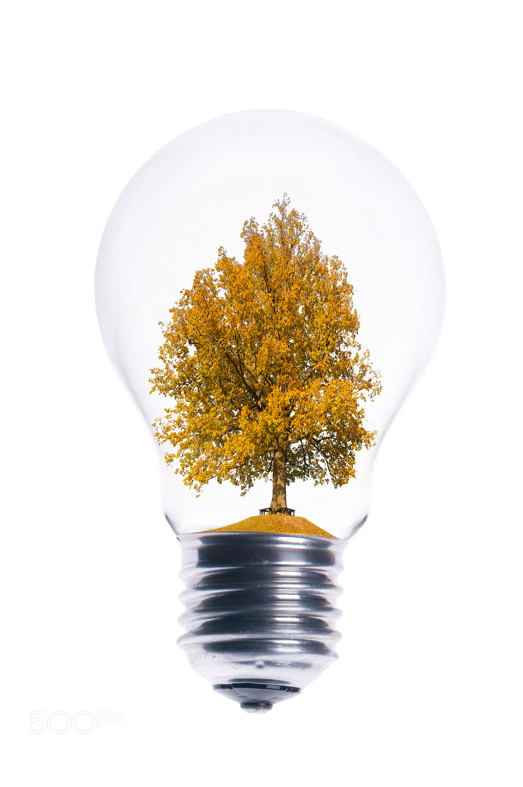 Sigma 70-200mm F2.8 EX DG Macro HSM II sample photo. Tree in light bulb, eco energy photography