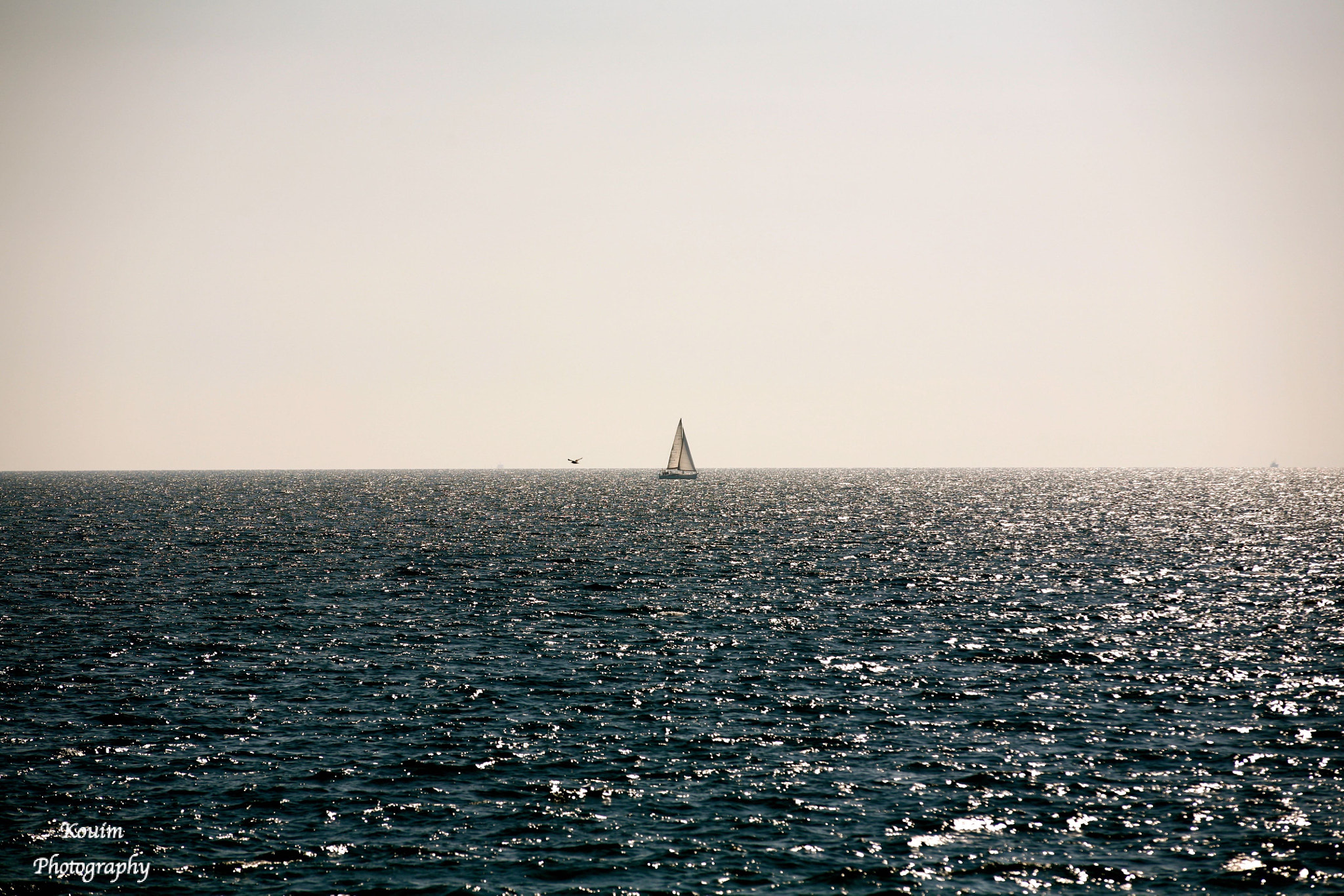 Canon EF 70-200mm F2.8L IS II USM sample photo. Freedom... photography