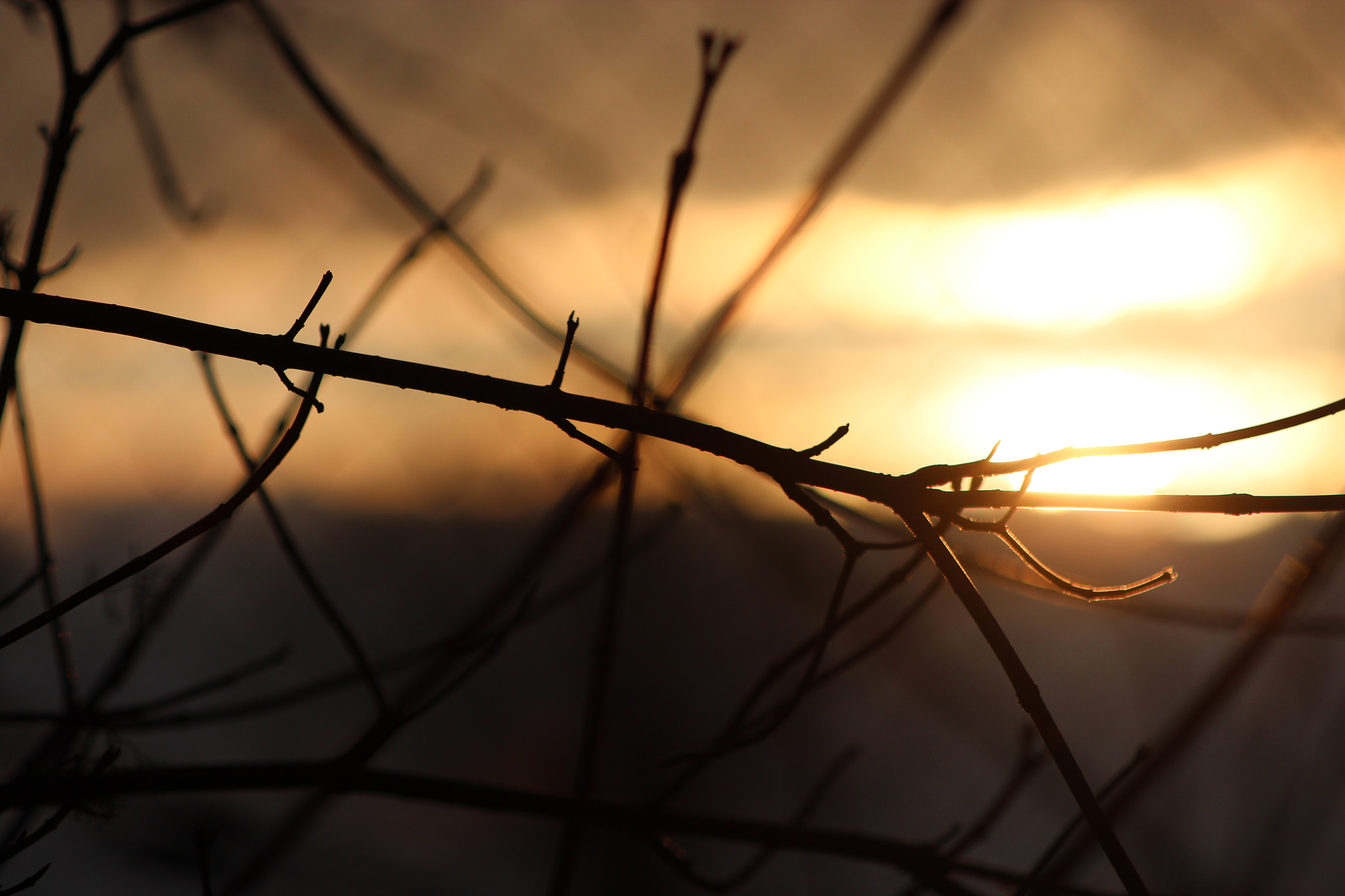 Canon EF 80-200mm F4.5-5.6 II sample photo. Last lights  photography