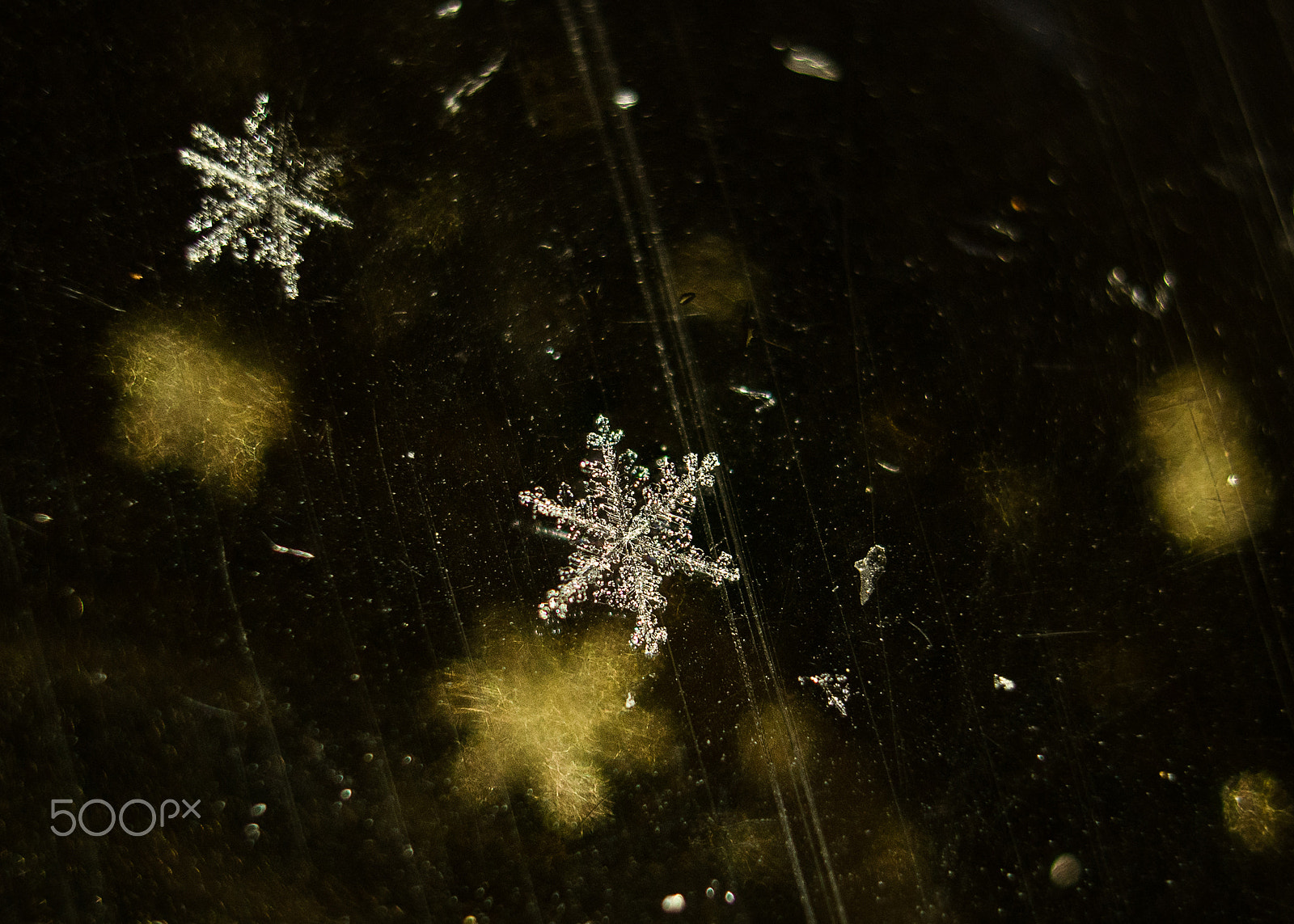 Sony a7R + E 50mm F1.8 OSS sample photo. Macro image of snowflake photography