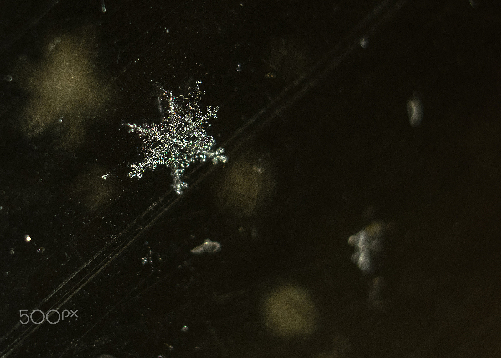 Sony a7R + E 50mm F1.8 OSS sample photo. Macro image of snowflake photography