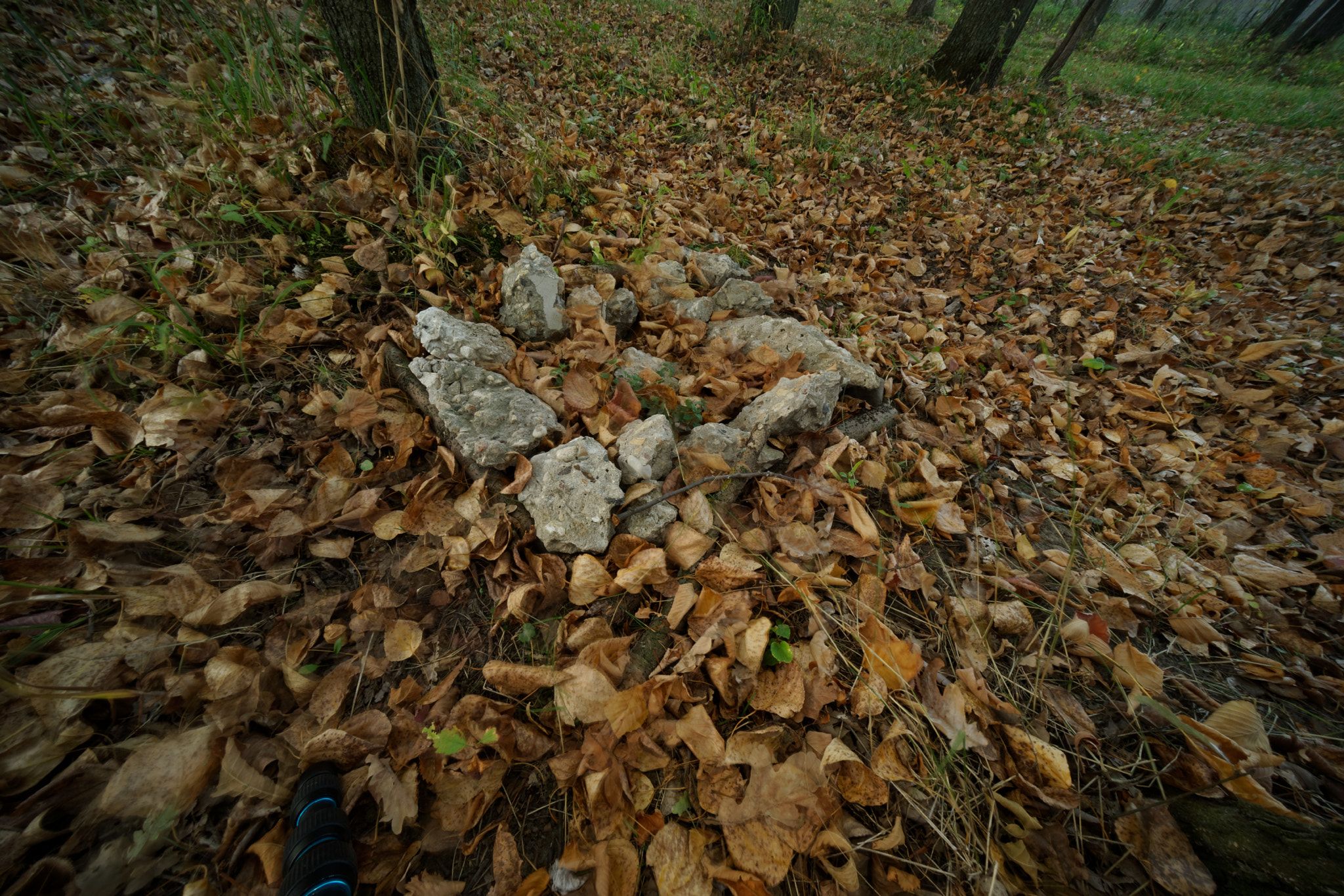Sony E 10-18mm F4 OSS sample photo. Kakotkin com photography