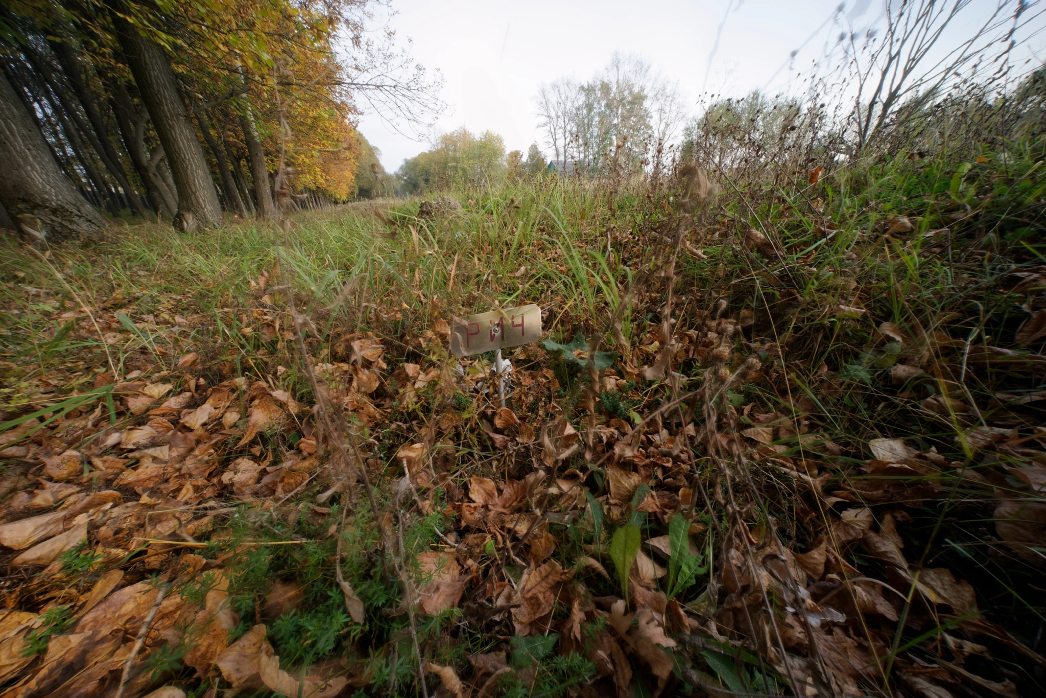Sony E 10-18mm F4 OSS sample photo. Kakotkin com photography