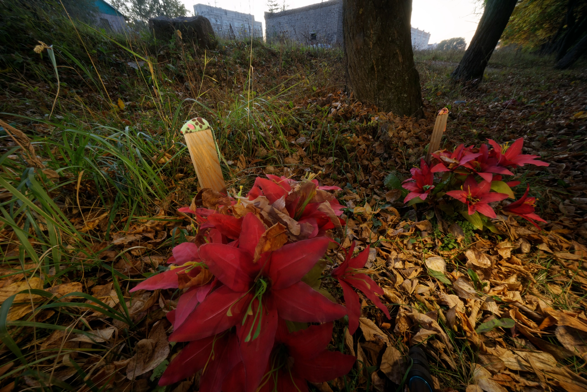 Sony a7 + Sony E 10-18mm F4 OSS sample photo. Kakotkin com photography