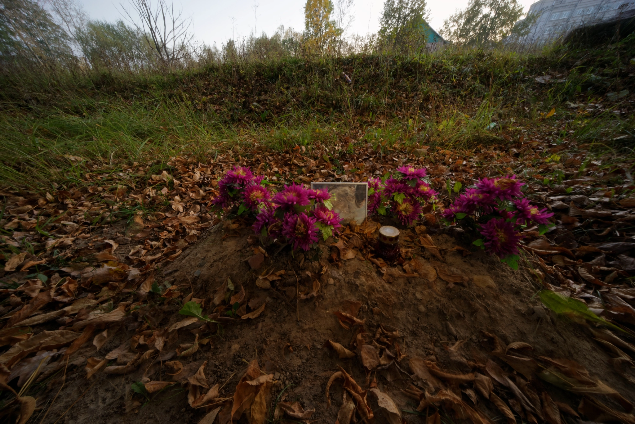 Sony E 10-18mm F4 OSS sample photo. Kakotkin com photography