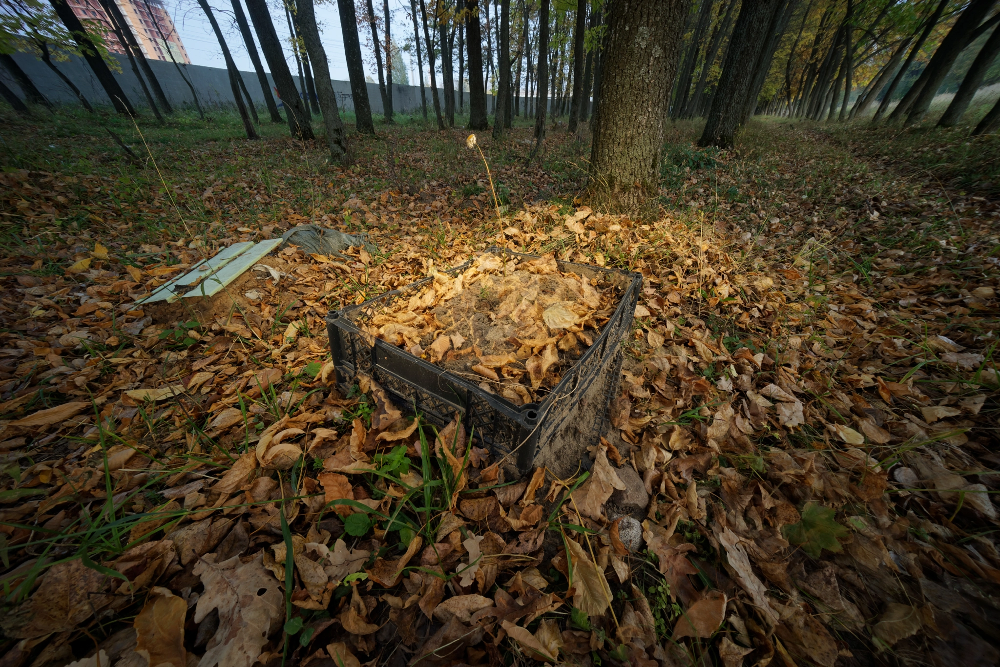 Sony a7 + Sony E 10-18mm F4 OSS sample photo. Kakotkin com photography