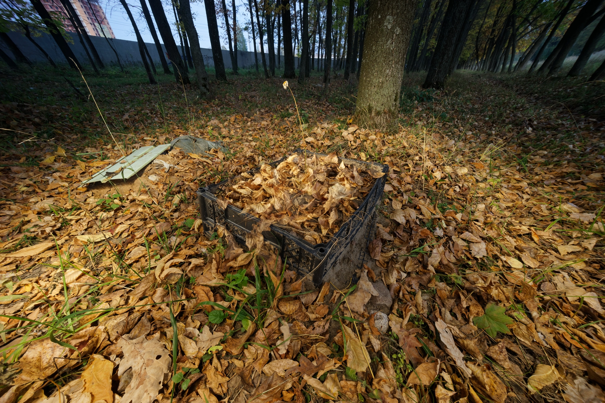 Sony E 10-18mm F4 OSS sample photo. Kakotkin com photography