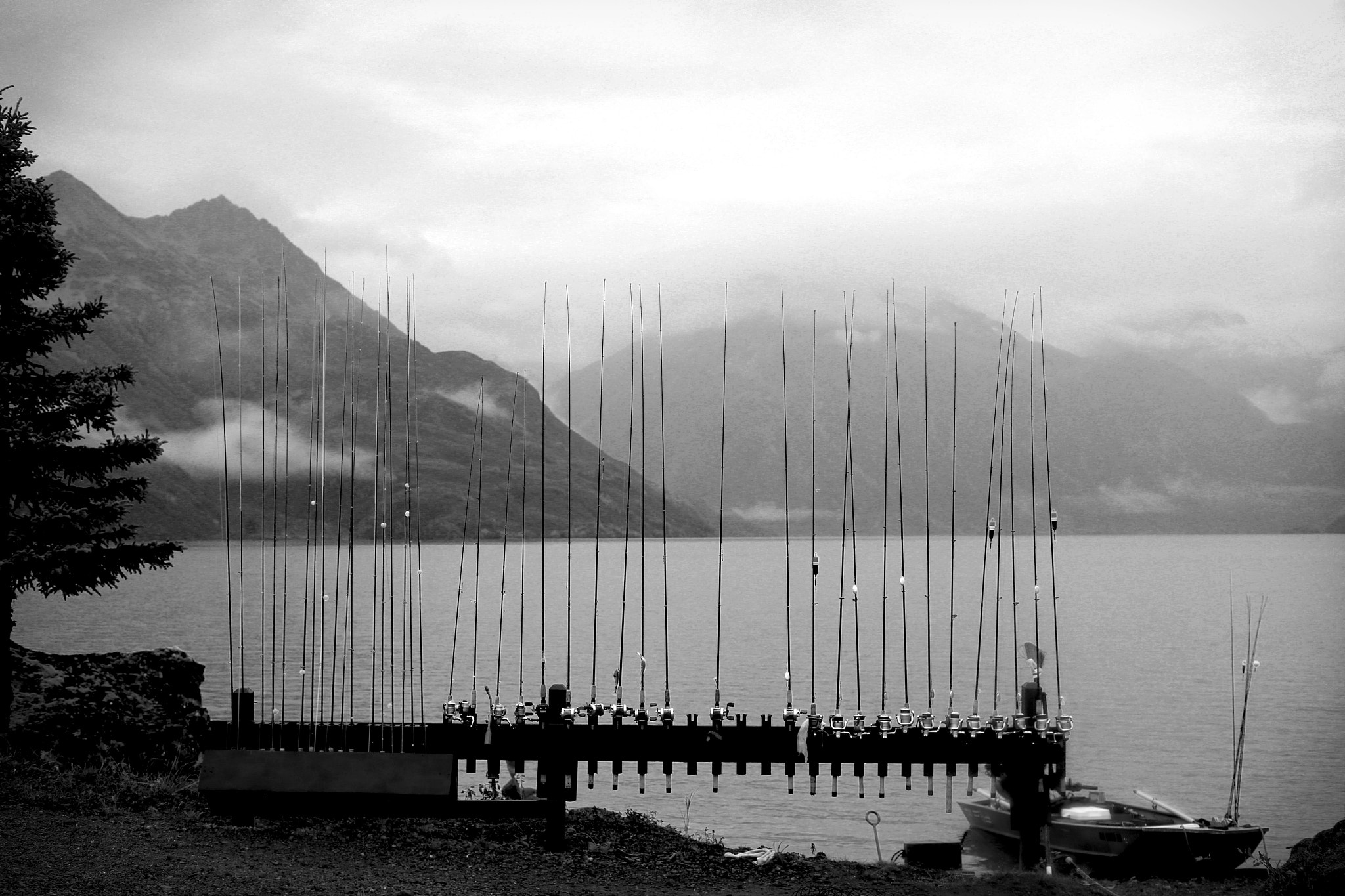ZEISS Makro-Planar T* 50mm F2 sample photo. Fishing rods photography