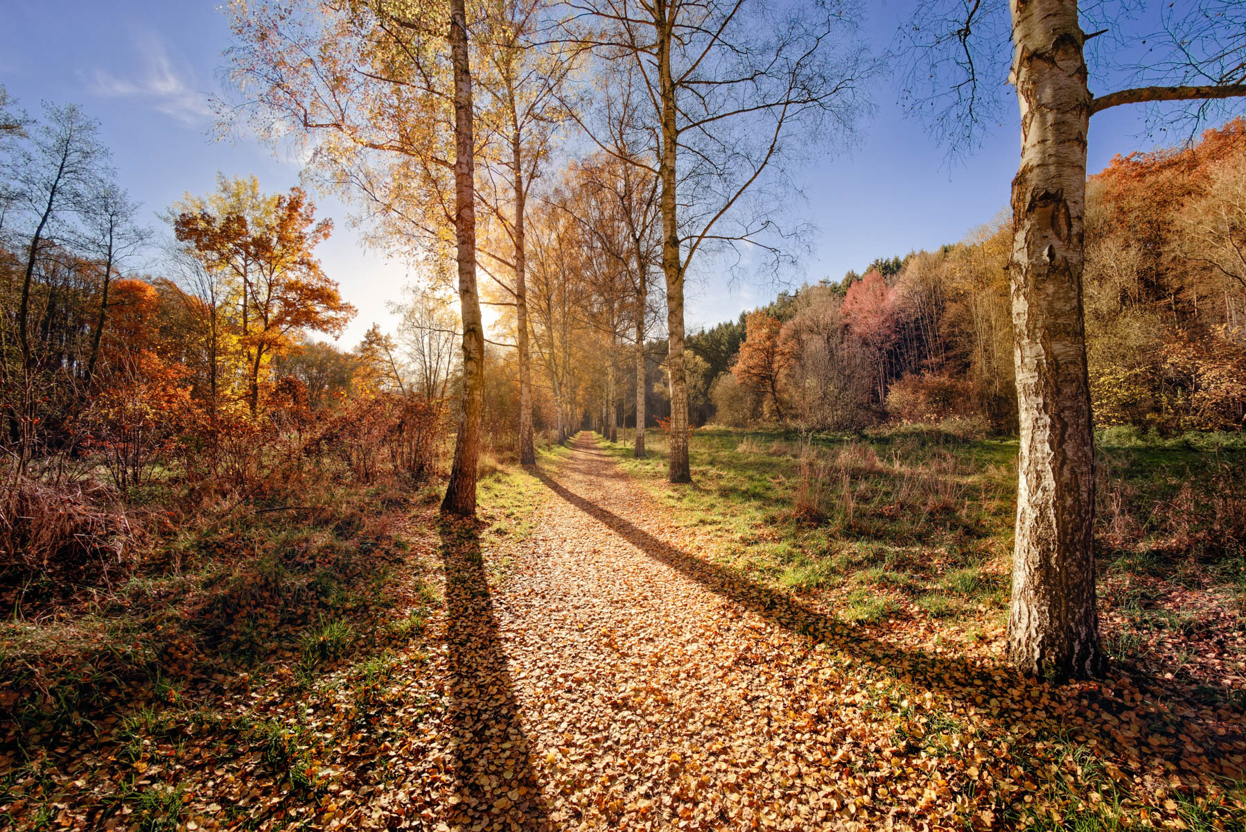Samyang 12mm F2.8 ED AS NCS Fisheye sample photo. That path photography