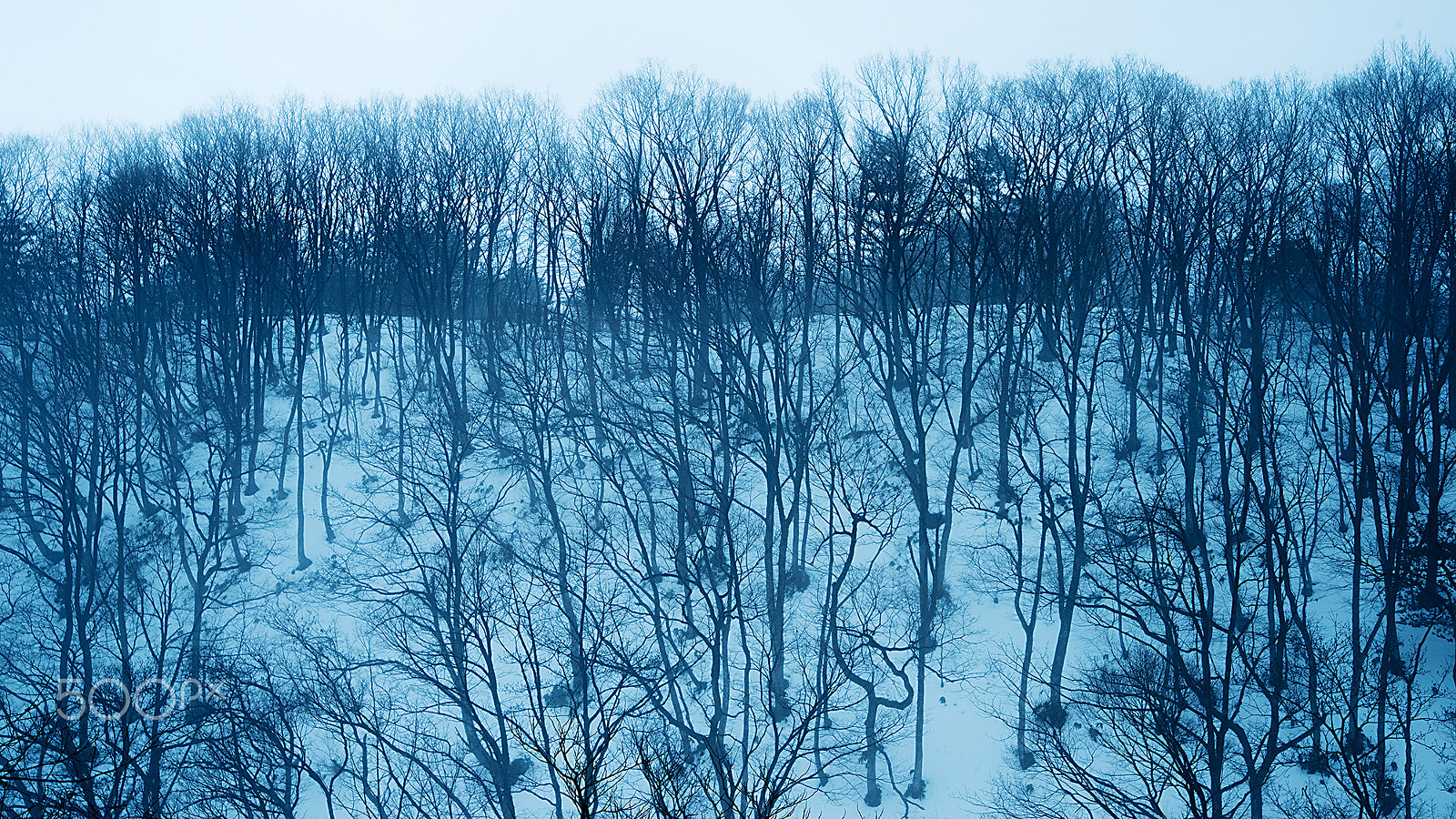 Nikon Df sample photo. The days of melting snow photography