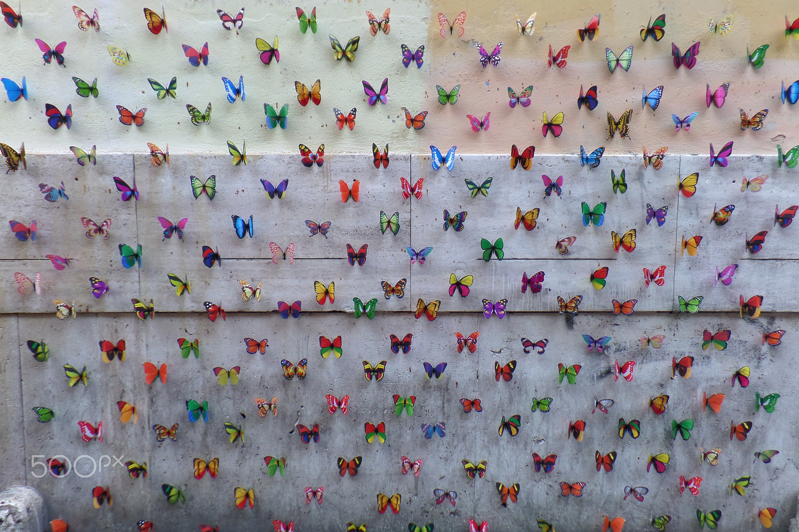 Samsung WB800F sample photo. Butterflies photography