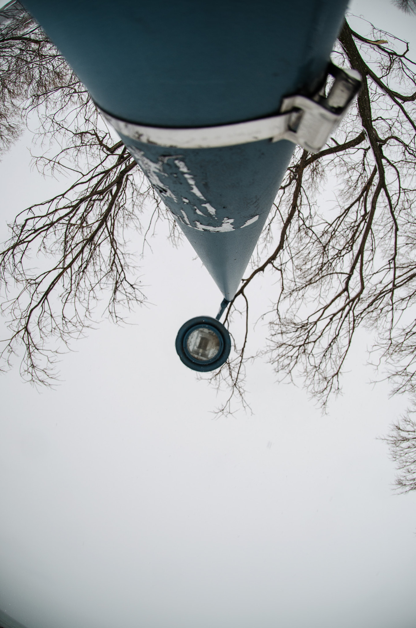 Nikon AF DX Fisheye-Nikkor 10.5mm F2.8G ED sample photo. Look up, way up photography