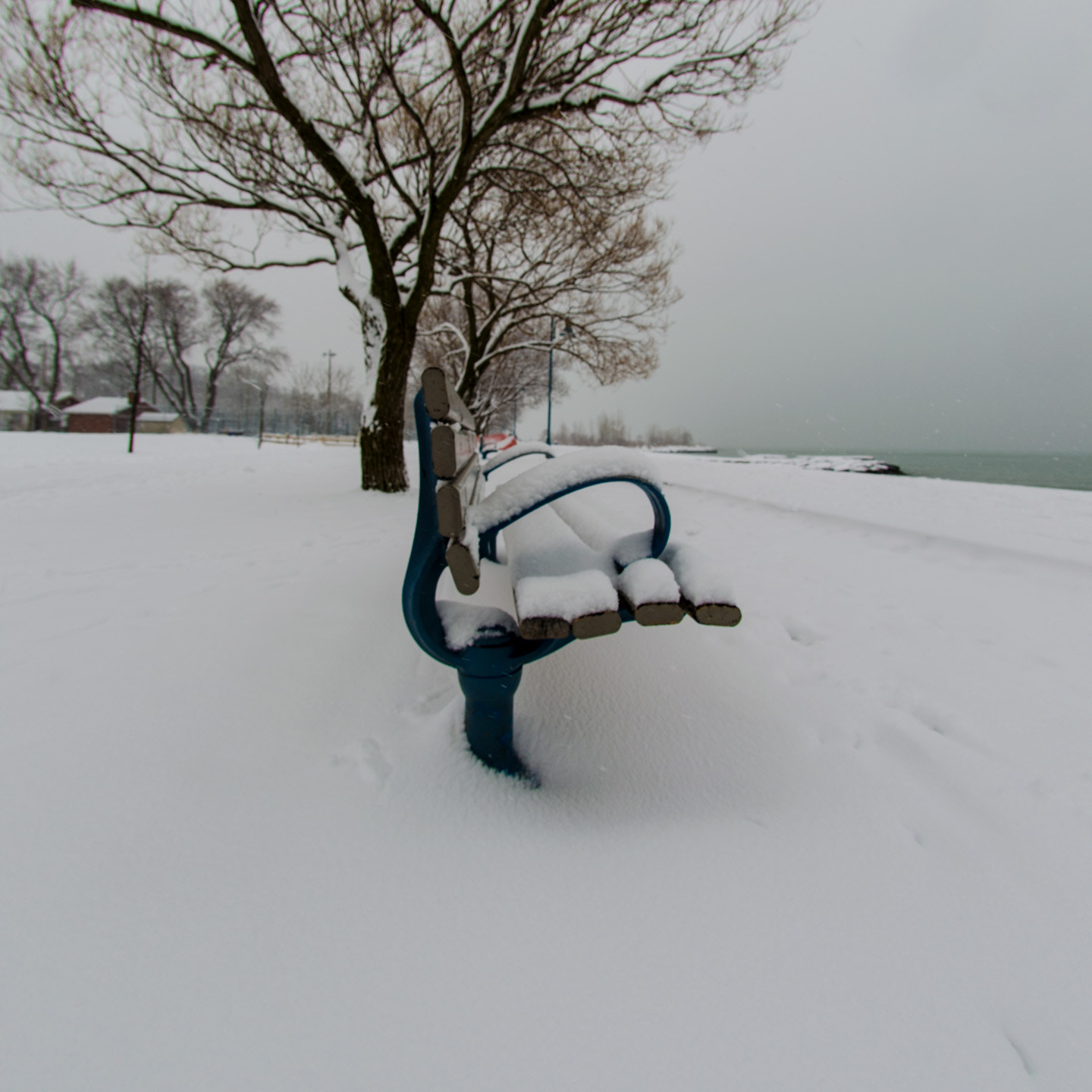 Nikon AF DX Fisheye-Nikkor 10.5mm F2.8G ED sample photo. Join me photography