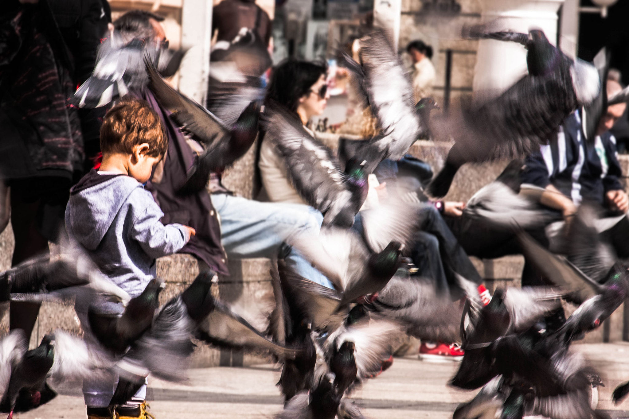 Canon EF-S 55-250mm F4-5.6 IS II sample photo. Master of the birds photography