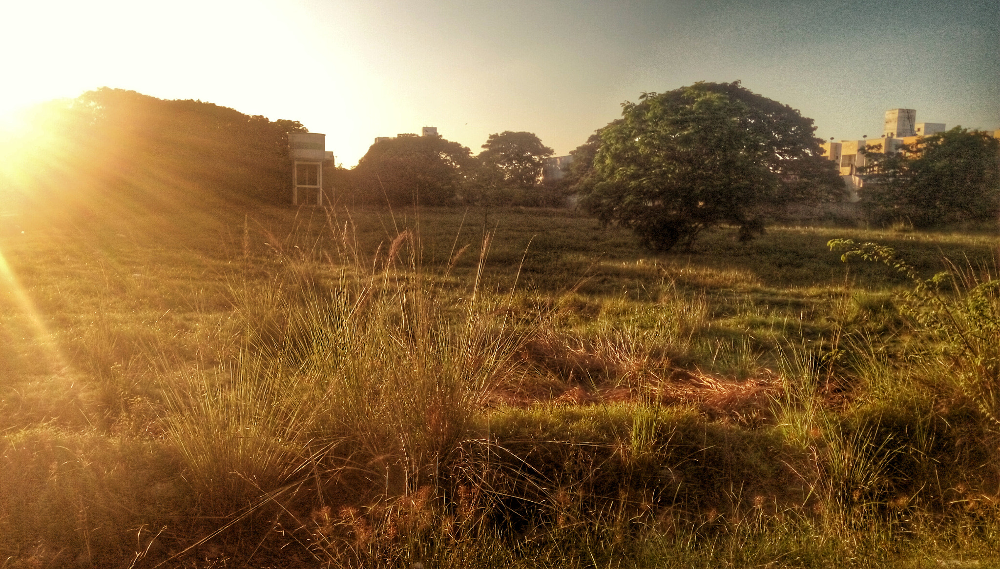 HTC DESIRE 728G DUAL SIM sample photo. Sunscape photography