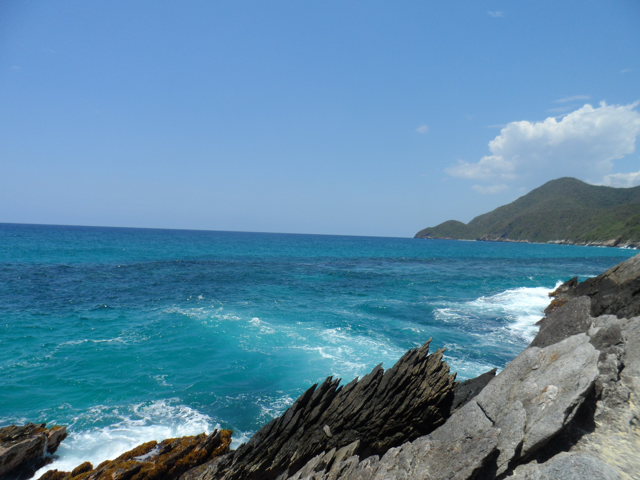 Samsung MV800 sample photo. Color azul ligeramente verdoso photography