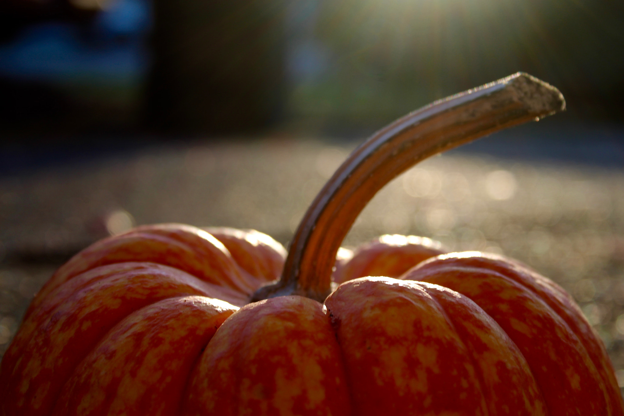 Canon EF-S 18-55mm F3.5-5.6 sample photo. Nature is beautiful photography