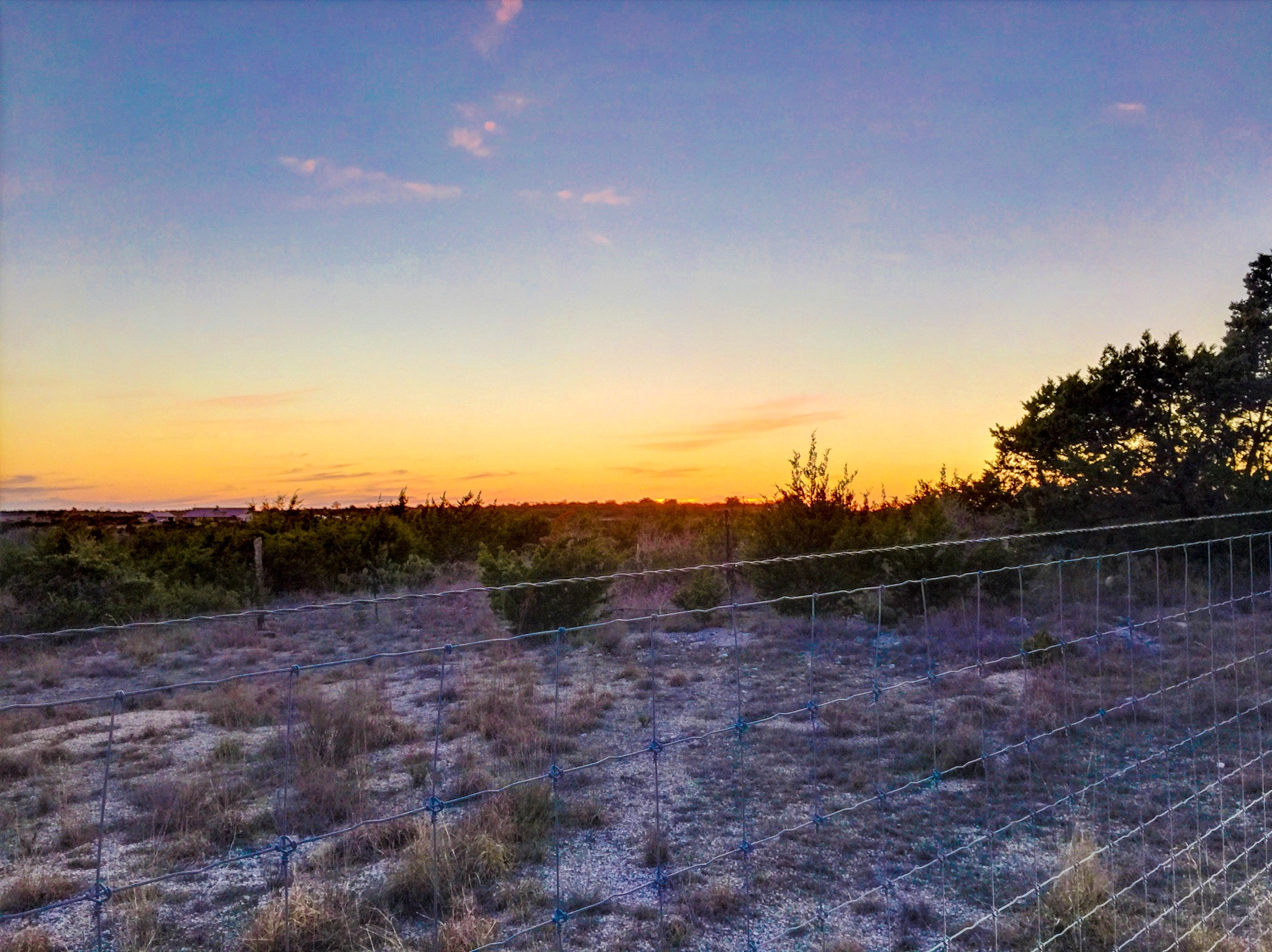 Apple iPhone sample photo. Fenced in photography
