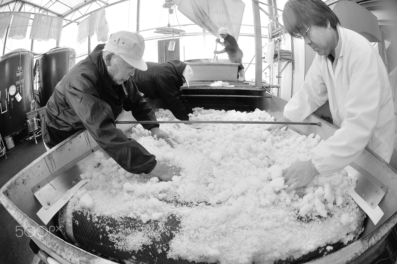 Nikon AF DX Fisheye-Nikkor 10.5mm F2.8G ED sample photo. Sake making.steamed rice being cooled. photography