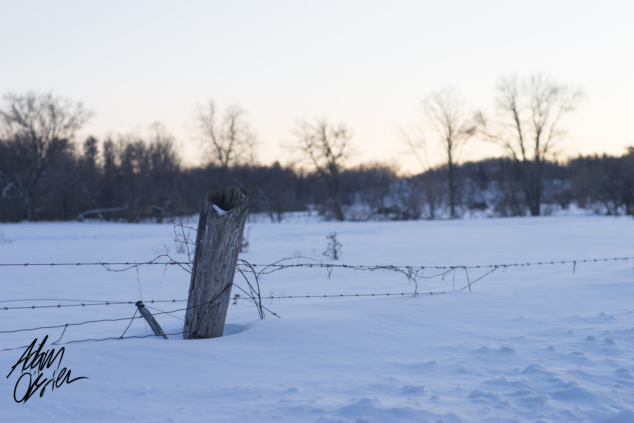 Sony a7 + Sigma 28-70mm EX DG F2.8 sample photo. Winter post photography