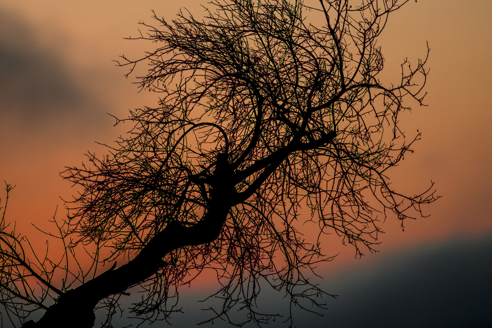 Nikon D800 + AF Nikkor 180mm f/2.8 IF-ED sample photo. Winter sunset photography