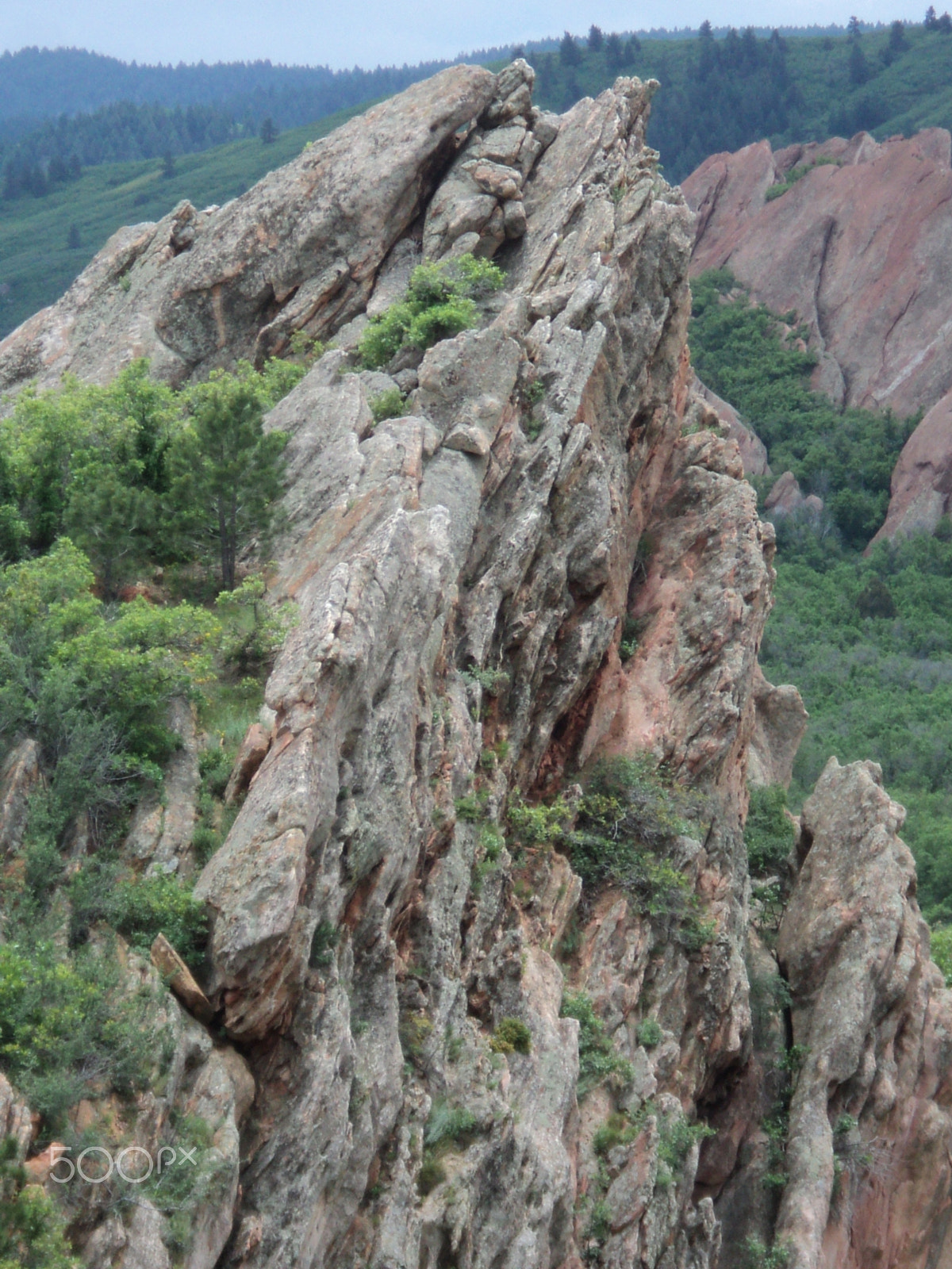 Sony DSC-S2100 sample photo. Roxborough state park photography