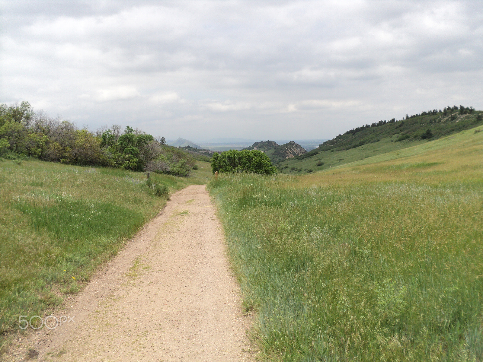 Sony DSC-S2100 sample photo. Roxborough state park photography