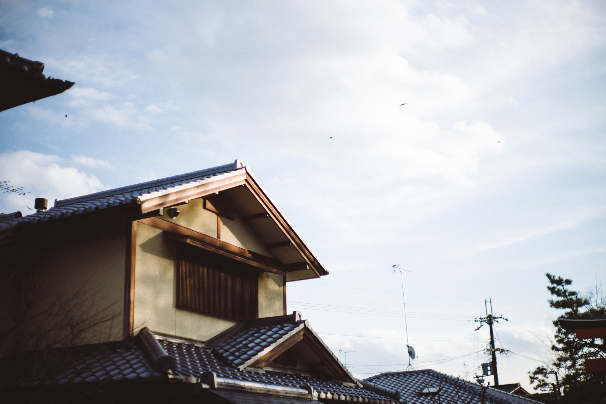 Summilux-M 1:1.4/50 sample photo. 16074332270.jpg photography