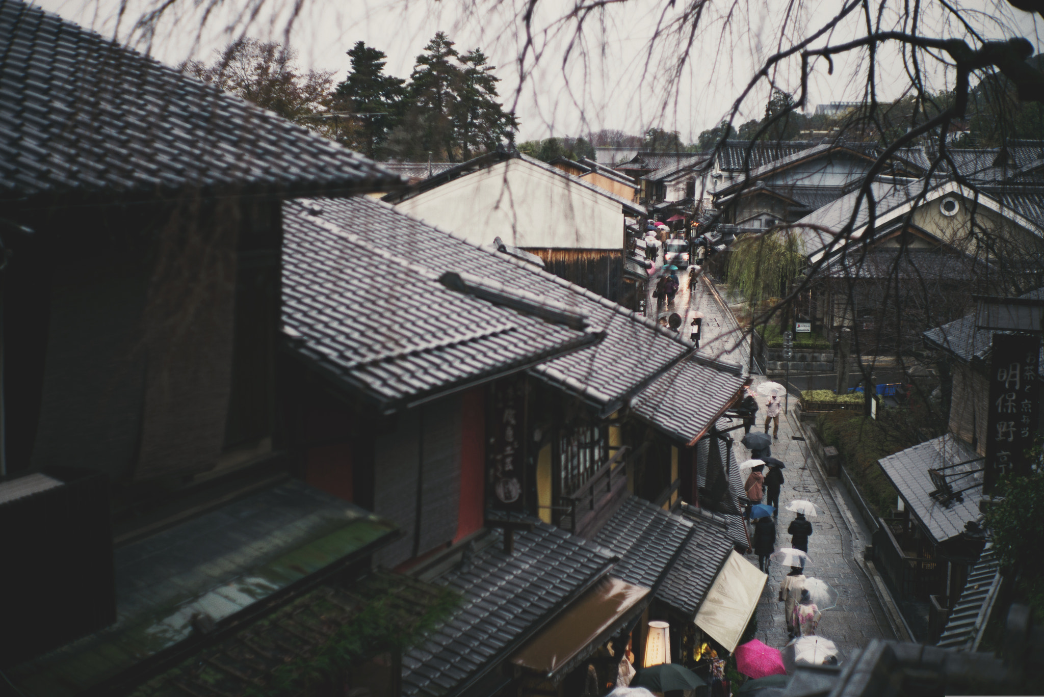 Summilux-M 1:1.4/50 sample photo. 16261699615.jpg photography
