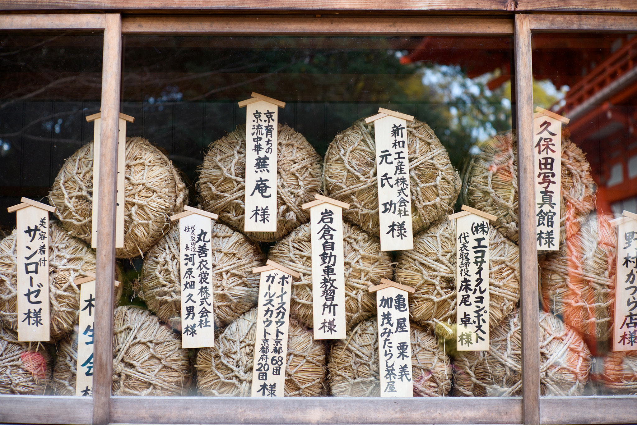 Summilux-M 1:1.4/50 sample photo. 16260869472.jpg photography
