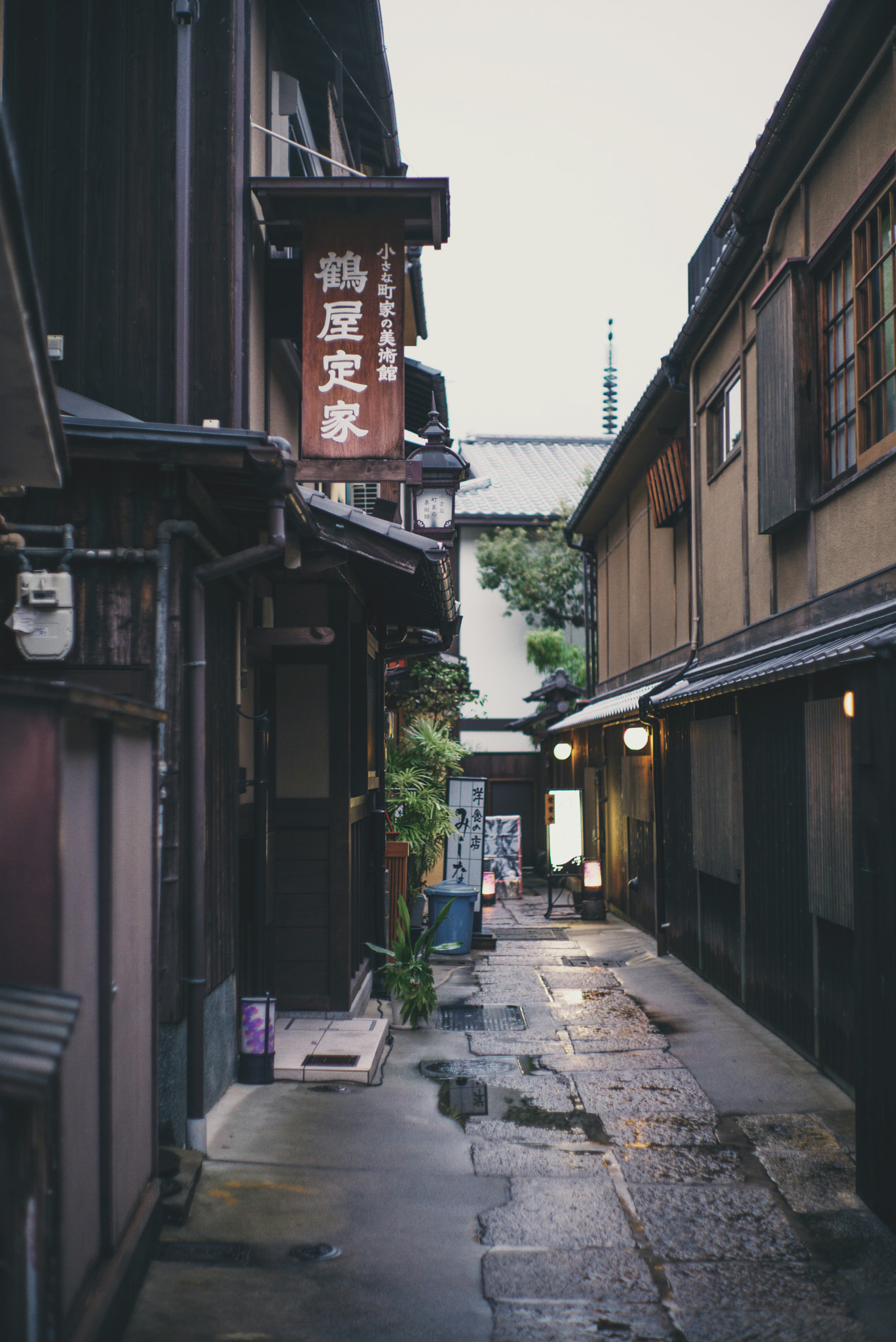 Summilux-M 1:1.4/50 sample photo. 16260867812.jpg photography