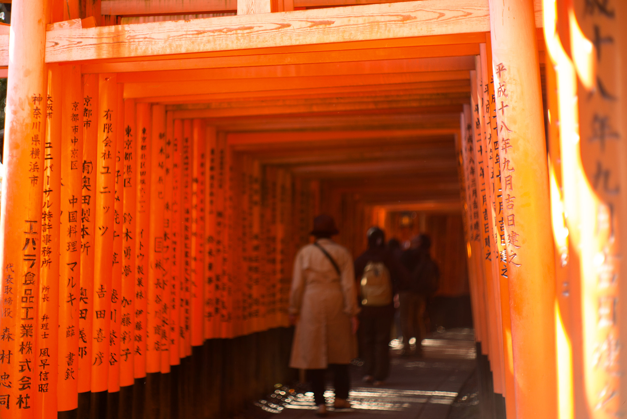 Summilux-M 1:1.4/50 sample photo. 16260875782.jpg photography