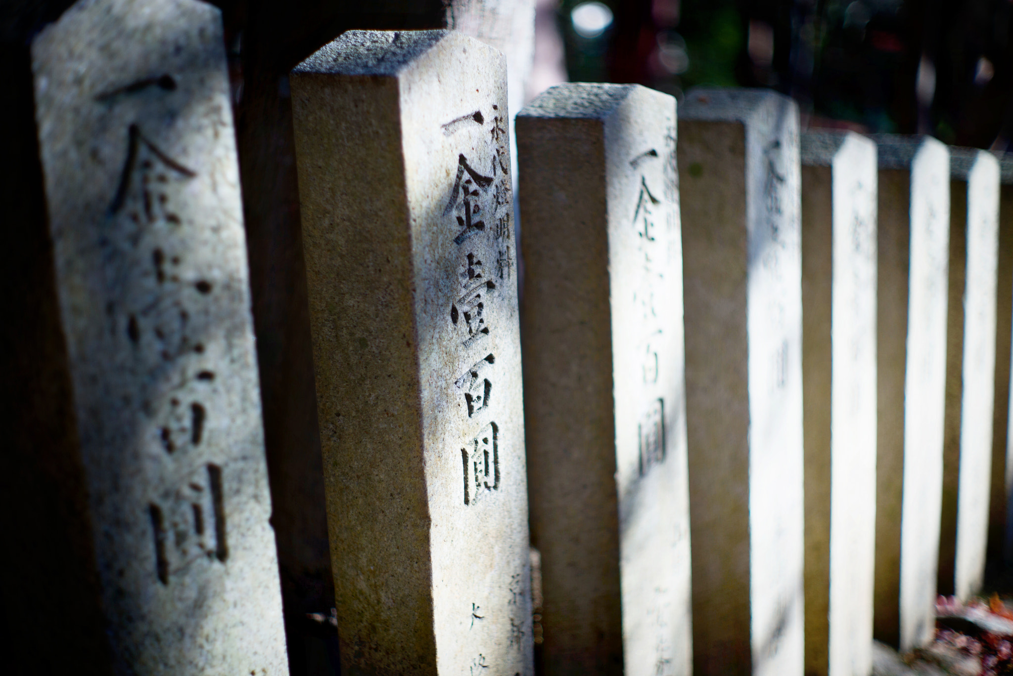 Summilux-M 1:1.4/50 sample photo. 16260872102.jpg photography