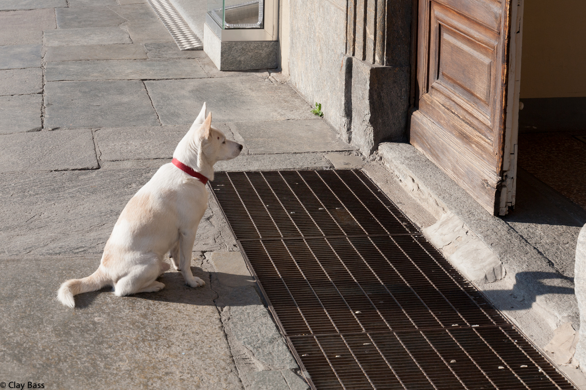 Canon EF 24-105mm F3.5-5.6 IS STM sample photo. L'attesa photography