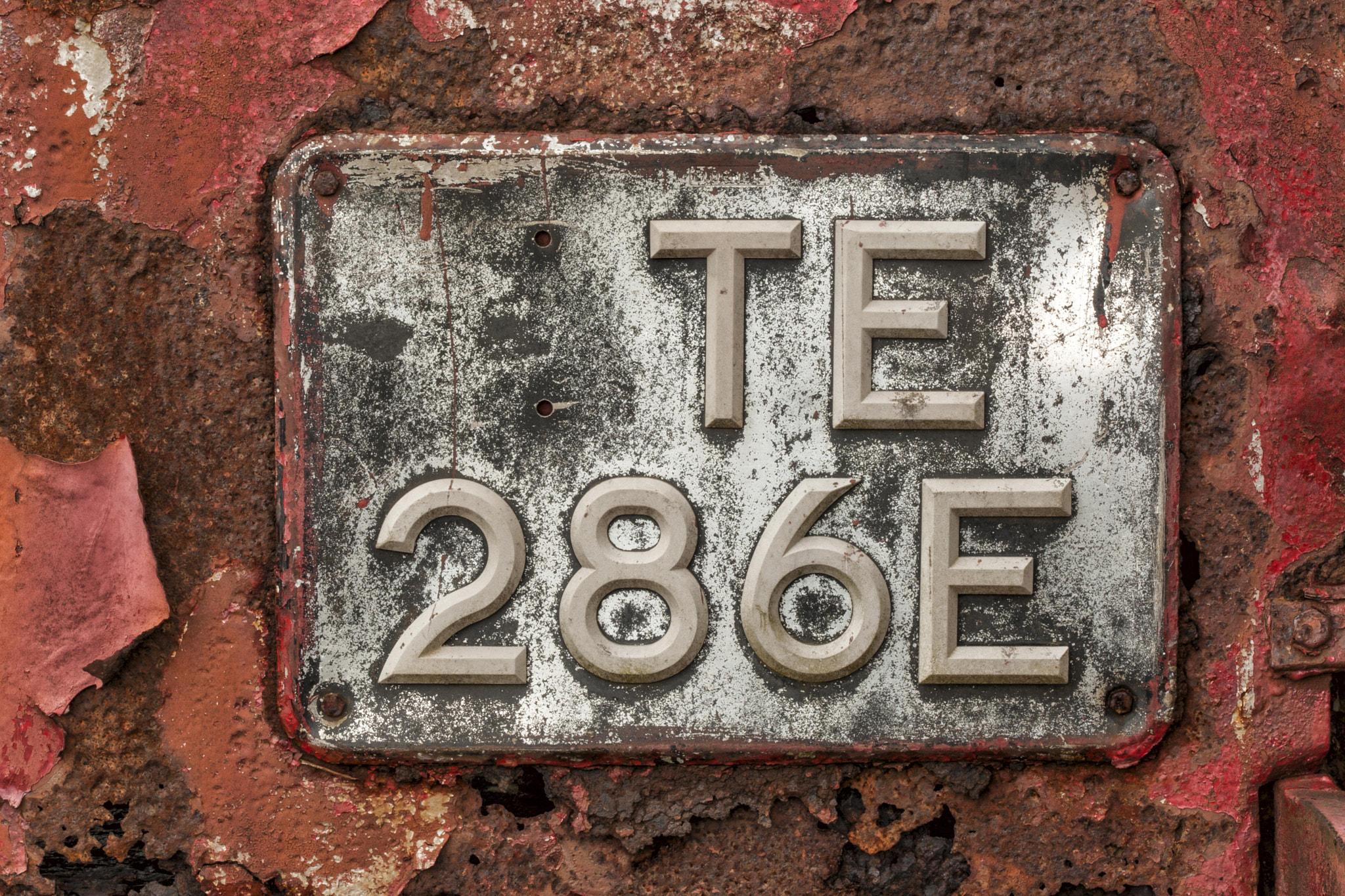 Canon EOS-1D Mark III sample photo. Te286e photography