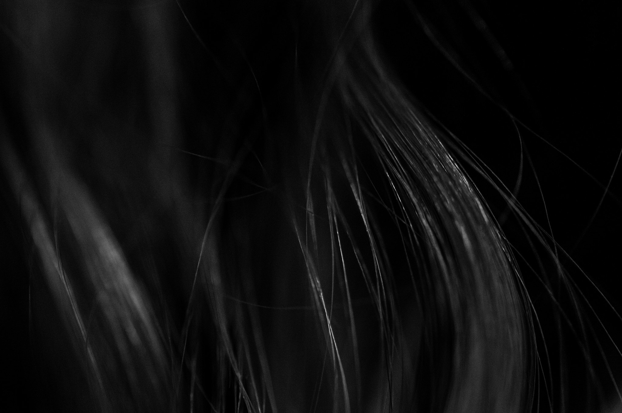 Nikon AF-S Micro-Nikkor 60mm F2.8G ED sample photo. Locks photography
